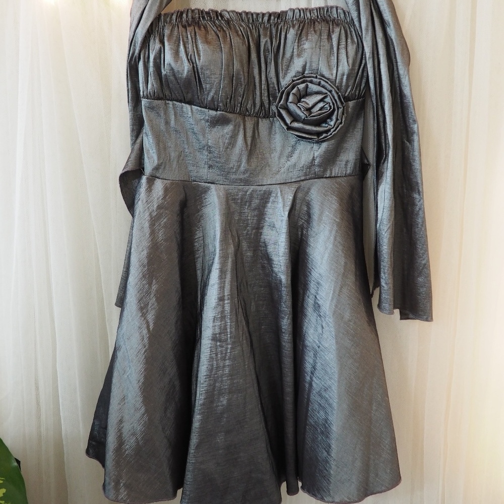 Metallic Gray dress
